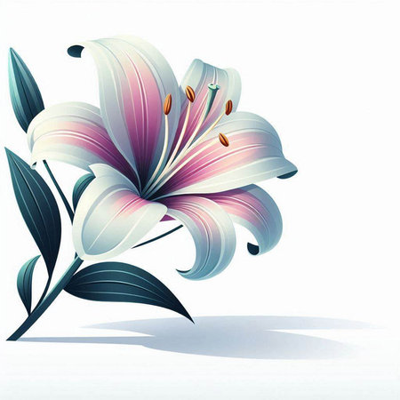 Beautiful lily flower on a white background. Vector illustration.のイラスト素材