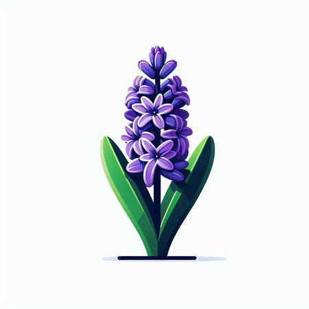 Blue hyacinth flower on a white background. Vector illustration.のイラスト素材