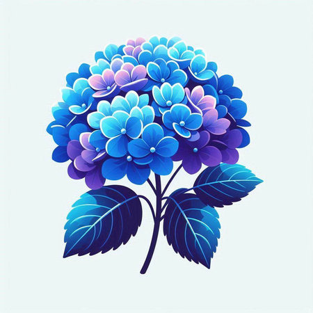 Hydrangea flower in blue and violet colors. Vector illustration.のイラスト素材