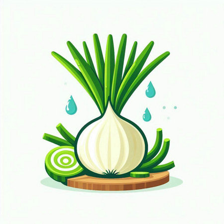 Onion on a white background with drops of water. Vector illustrationのイラスト素材