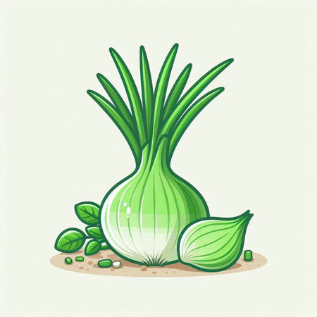 Illustration of a bunch of fresh spring onions on a white backgroundのイラスト素材