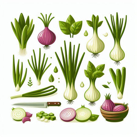Vector set of fresh green onions and leek isolated on white backgroundのイラスト素材