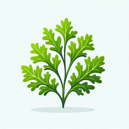 green leaves of parsley on a light background. Vector illustration.のイラスト素材