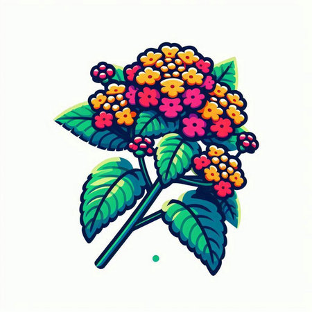 Viburnum (Lantana camara). Vector illustration.のイラスト素材