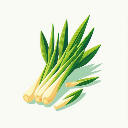 Fresh leek isolated on white background. Vector illustration. Eps 10.のイラスト素材