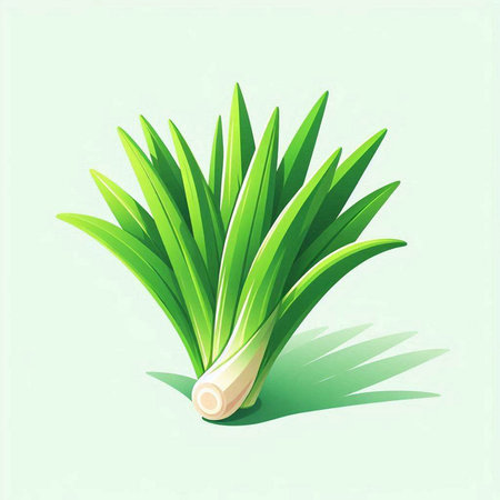 Fresh leek on green background. Vector illustration. Eps 10.のイラスト素材