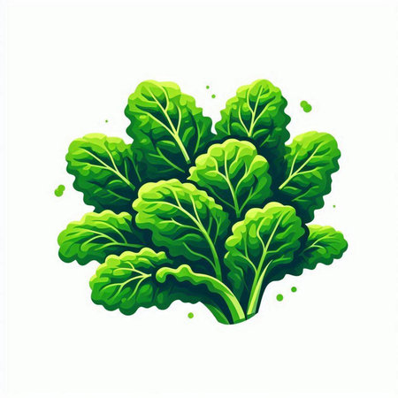 Lettuce isolated on a white background. Vector illustration. Eps 10.のイラスト素材