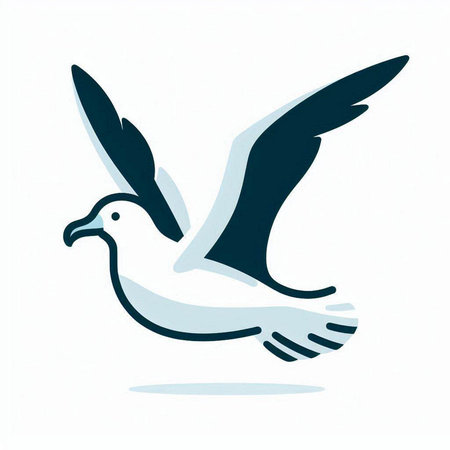 Vector illustration of a flying seagull on a white background.のイラスト素材