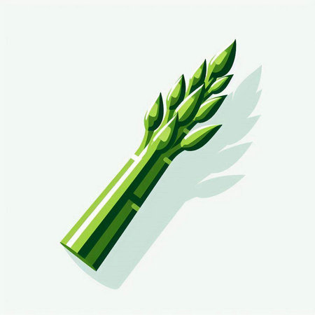 Fresh green asparagus vegetable icon. Vector illustration. Eps 10のイラスト素材