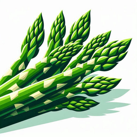 Green asparagus isolated on white background. 3d illustration.のイラスト素材