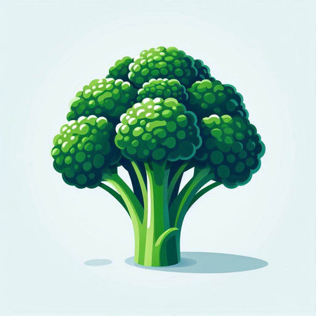 Vector illustration of fresh green broccoli on a light background. Flat style.のイラスト素材