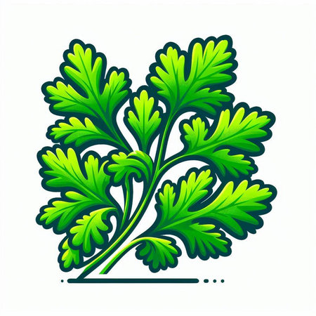Parsley icon. Vector illustration. Isolated on white background.のイラスト素材