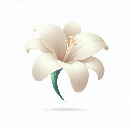 White lily flower isolated on a white background. Vector illustration.のイラスト素材