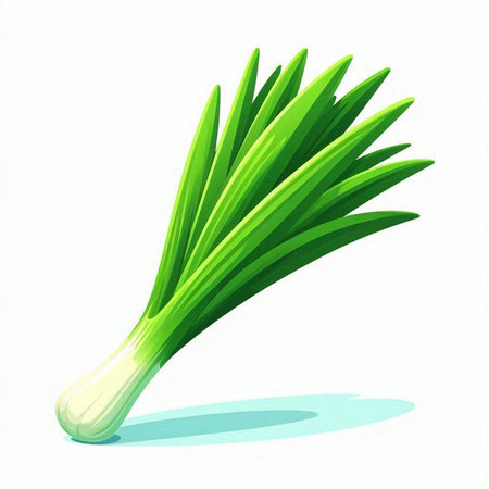 Illustration of a fresh green onion on a white background - vectorのイラスト素材