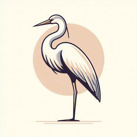 Vector illustration of a white heron on a beige background.のイラスト素材