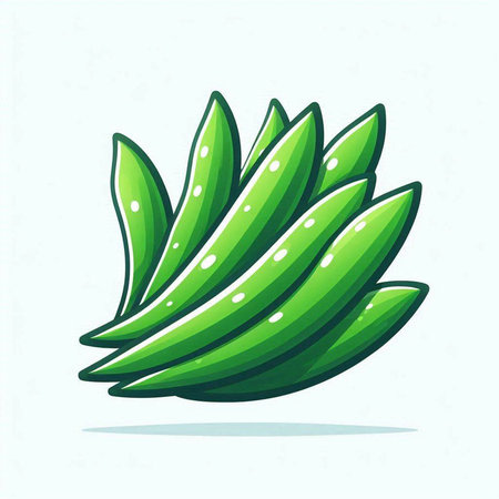 Illustration of green aloe vera on white background - vectorのイラスト素材
