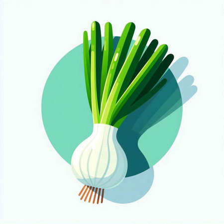Vector illustration of fresh green onion on white background. Flat style.のイラスト素材