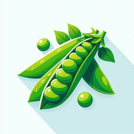 Green peas on a white background, vector illustration, eps10のイラスト素材