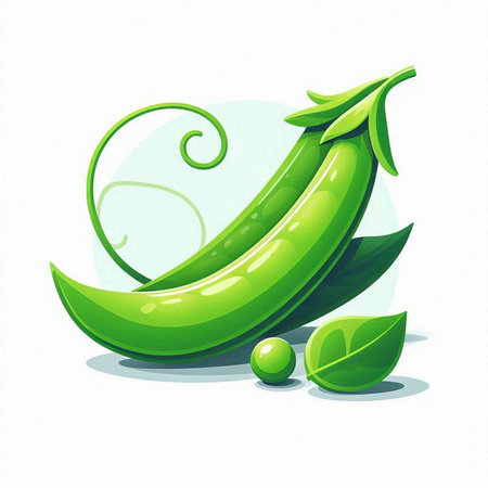 Green peas with leaves on a white background. Vector illustration for your designのイラスト素材