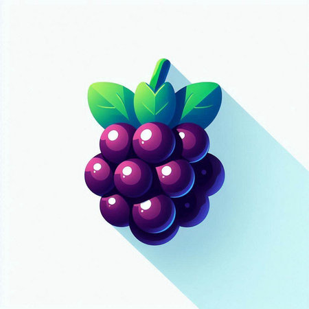 grapes on a white background, vector illustration, eps10のイラスト素材