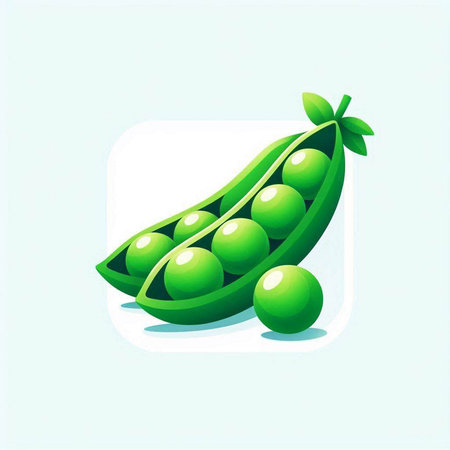 peas on a white background, vector illustration, eps10のイラスト素材