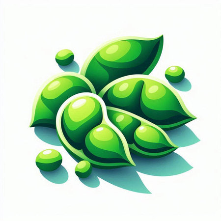 Green soybean with leaves on a white background. Vector illustration.のイラスト素材