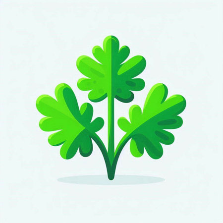 Parsley leaves isolated on white background. Vector flat illustration.のイラスト素材
