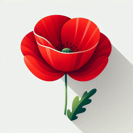 Red poppy flower on white background. Vector illustration. Eps 10.のイラスト素材