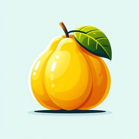 Ripe apricot on a blue background. Vector illustration.のイラスト素材