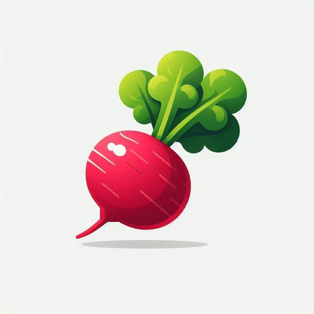 Radish vector illustration. Radish icon. Radish icon.のイラスト素材