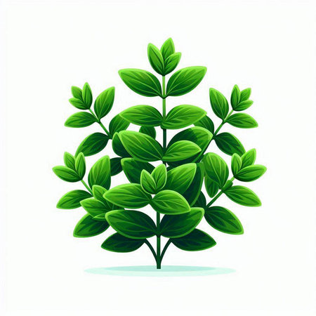 Green leaves isolated on white background. Vector illustration for your design.のイラスト素材