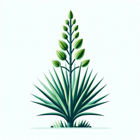 vector illustration of a stylized plant isolated on a white background.のイラスト素材