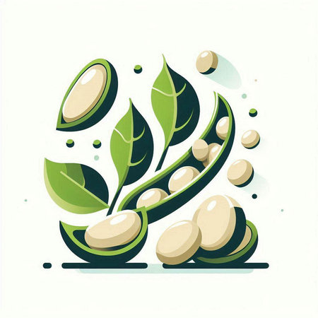 Soybean pods with green leaves and seeds, vector illustration.のイラスト素材