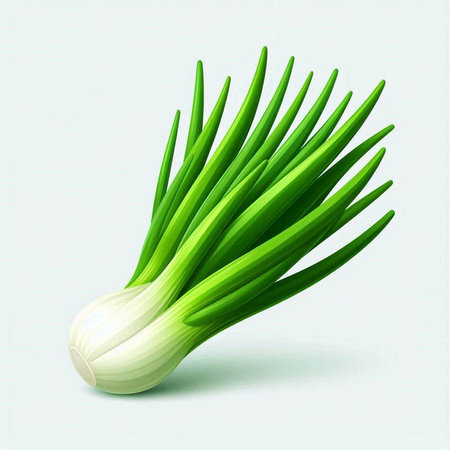 Fresh spring onion isolated on white background. Vector illustration for your designのイラスト素材