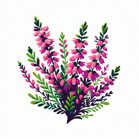 Beautiful pink and purple flowers on white background. Vector illustration.のイラスト素材