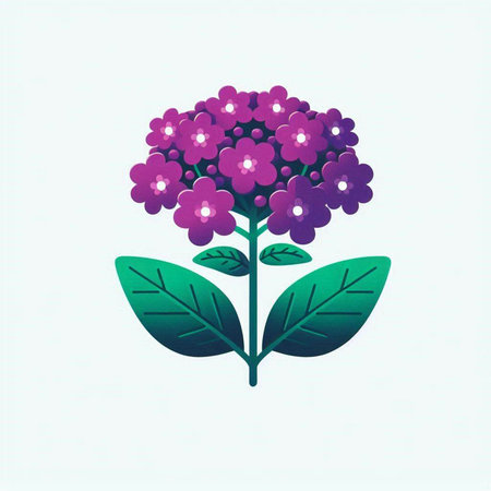 Purple hydrangea flower on white background. Vector illustration.のイラスト素材
