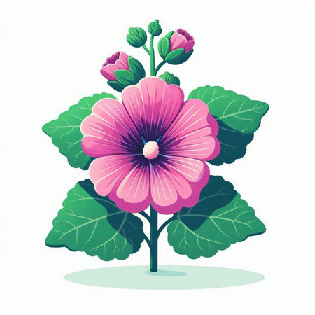 Illustration of a pink mallow flower isolated on a white backgroundのイラスト素材