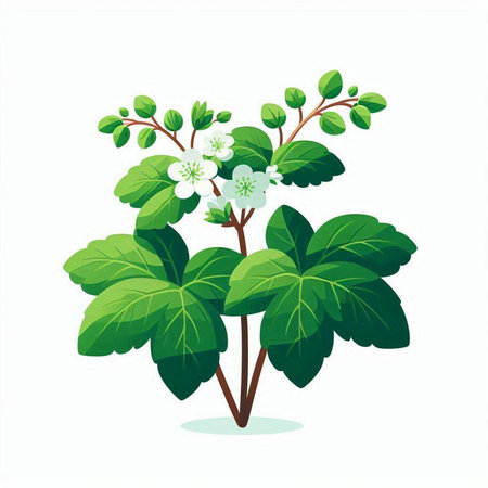 Illustration of a green apple tree isolated on a white background.のイラスト素材