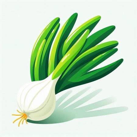 Illustration of a fresh green onion on a white background with shadowのイラスト素材