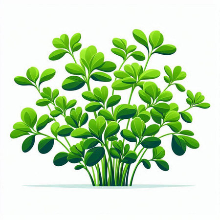 Green leaves isolated on white background. Vector illustration. Eps 10.のイラスト素材