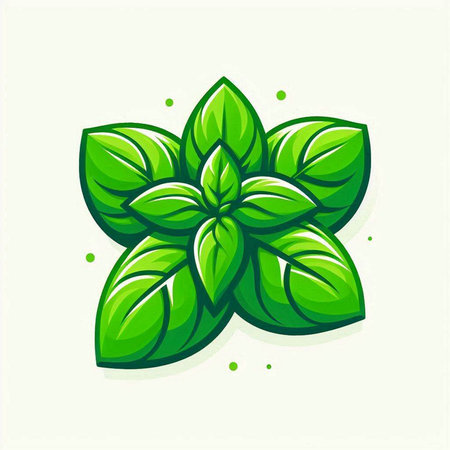 Illustration of fresh basil leaves on white background, vector illustration.のイラスト素材
