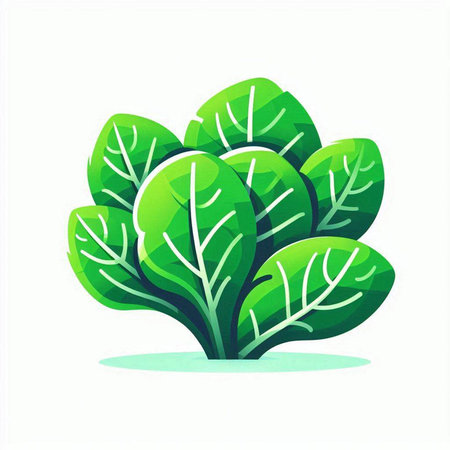 Lettuce icon isolated on the white background. Vector illustration.のイラスト素材