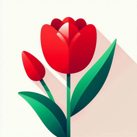 Red tulip on a white background with a long shadow. Vector illustrationのイラスト素材