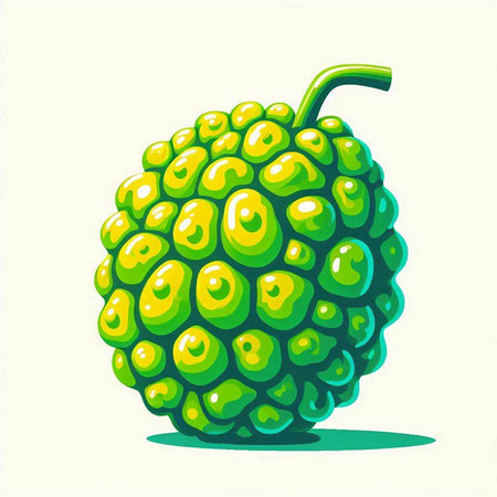 custard apple on a white background, vector illustration, eps
