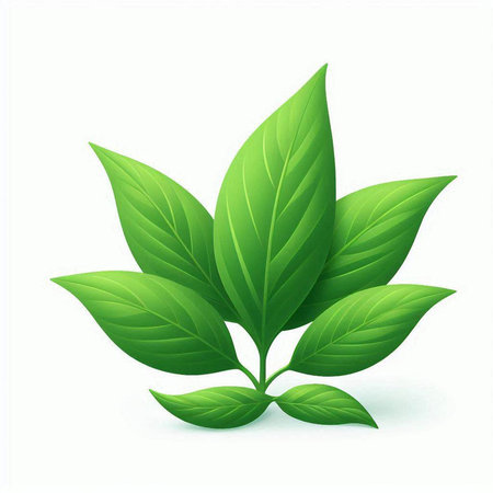 Green leaves on a white background. Vector illustration. Eps 10.