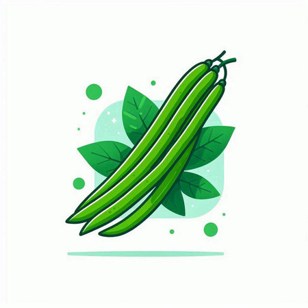 Green beans with leaves. Vector illustration isolated on a white background.のイラスト素材