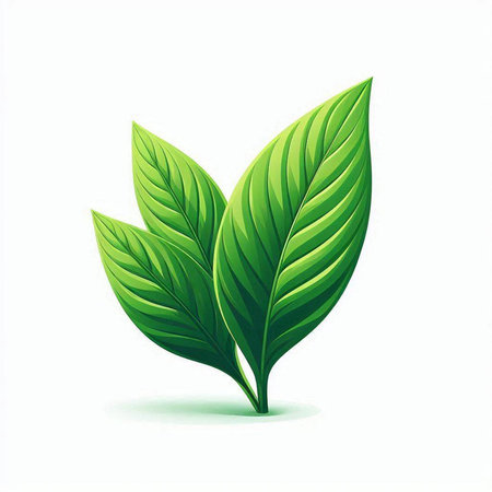 Vector illustration of turmeric juice in glass and fresh turmeric leaves.のイラスト素材