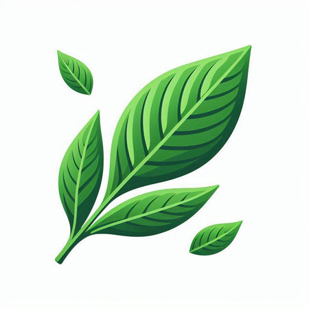 Turmeric juice in glass with fresh turmeric root, vector illustration.のイラスト素材