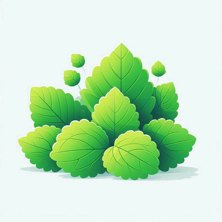 Illustration of fresh green leaves on a white background. Vector illustration.のイラスト素材