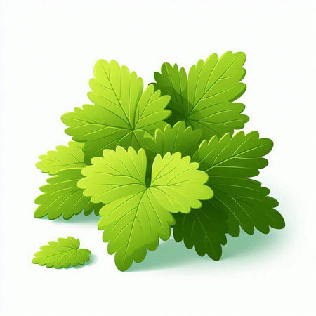 Green leaves isolated on white background. Vector illustration. Eps 10.のイラスト素材